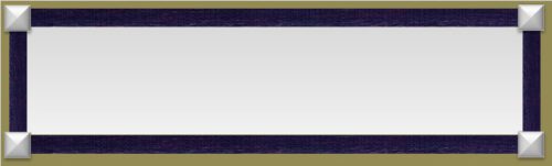 InGarden Buitenspiegel kunststof 40 x 140 cm