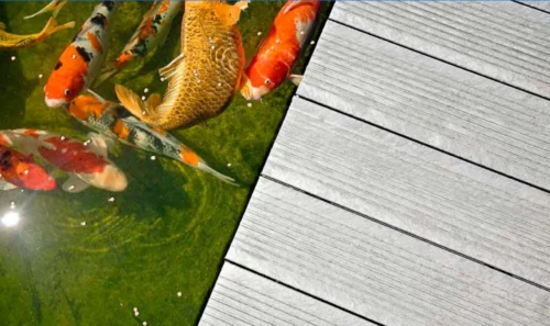 Classic Terras Plank